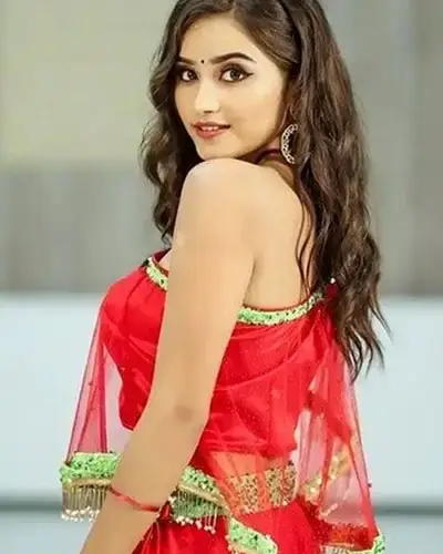 Call Girls Service Thirumayam